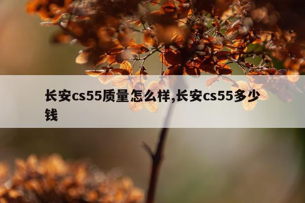 长安cs55质量怎么样,长安cs55多少钱