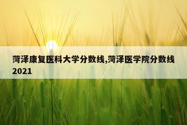 菏泽康复医科大学分数线,菏泽医学院分数线2021