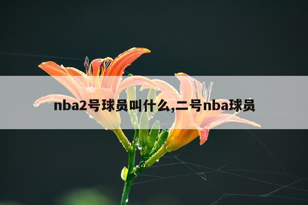 nba2号球员叫什么,二号nba球员