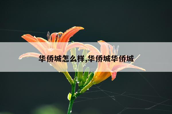 华侨城怎么样,华侨城华侨城