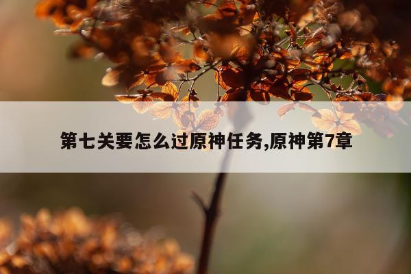 第七关要怎么过原神任务,原神第7章