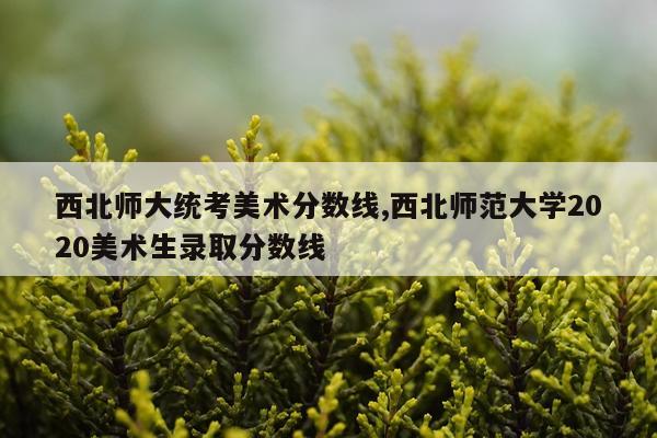 西北师大统考美术分数线,西北师范大学2020美术生录取分数线