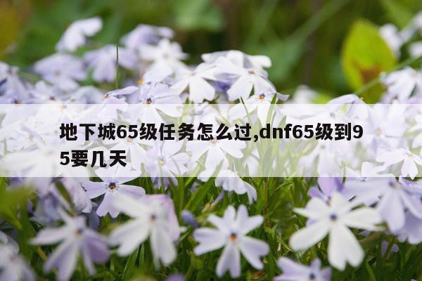 地下城65级任务怎么过,dnf65级到95要几天