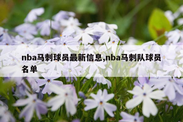 nba马刺球员最新信息,nba马刺队球员名单