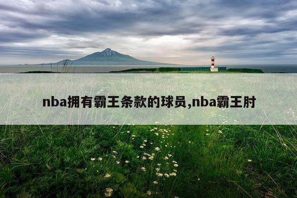 nba拥有霸王条款的球员,nba霸王肘