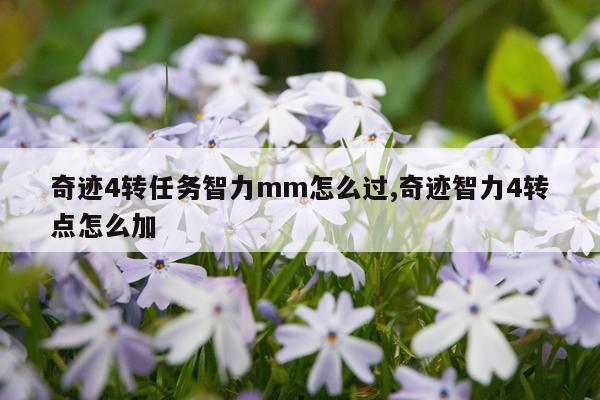 奇迹4转任务智力mm怎么过,奇迹智力4转点怎么加