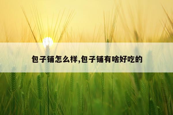包子铺怎么样,包子铺有啥好吃的
