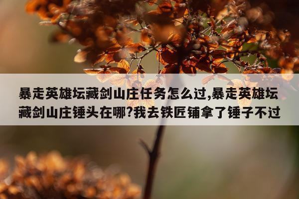 暴走英雄坛藏剑山庄任务怎么过,暴走英雄坛藏剑山庄锤头在哪?我去铁匠铺拿了锤子不过