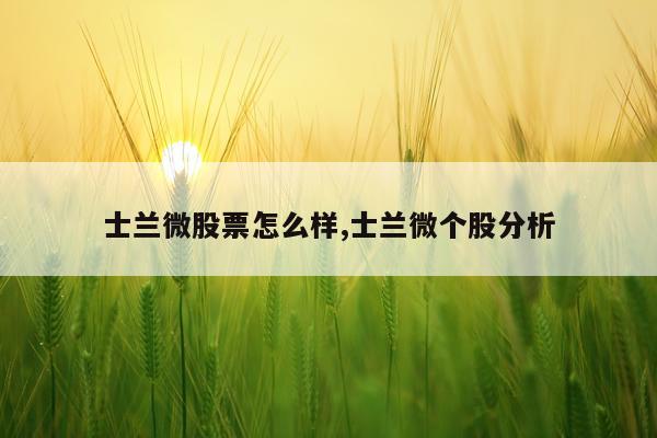 士兰微股票怎么样,士兰微个股分析