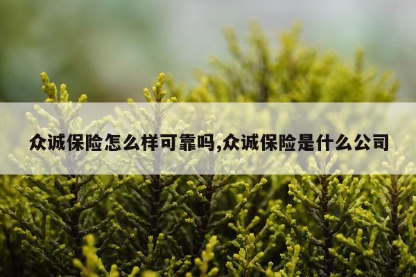 众诚保险怎么样可靠吗,众诚保险是什么公司