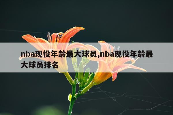 nba现役年龄最大球员,nba现役年龄最大球员排名