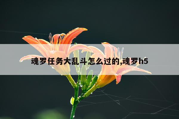 魂罗任务大乱斗怎么过的,魂罗h5