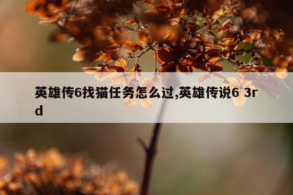 英雄传6找猫任务怎么过,英雄传说6 3rd