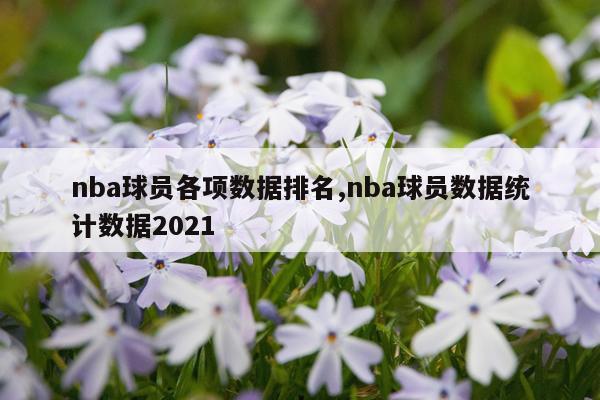 nba球员各项数据排名,nba球员数据统计数据2021