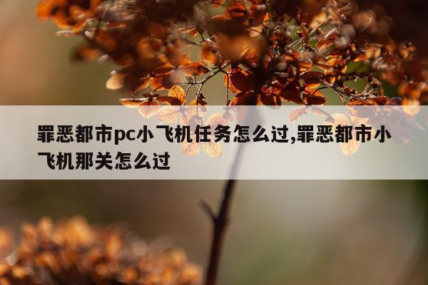 罪恶都市pc小飞机任务怎么过,罪恶都市小飞机那关怎么过