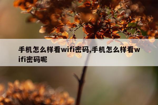 手机怎么样看wifi密码,手机怎么样看wifi密码呢