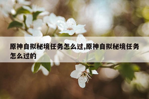 原神自拟秘境任务怎么过,原神自拟秘境任务怎么过的