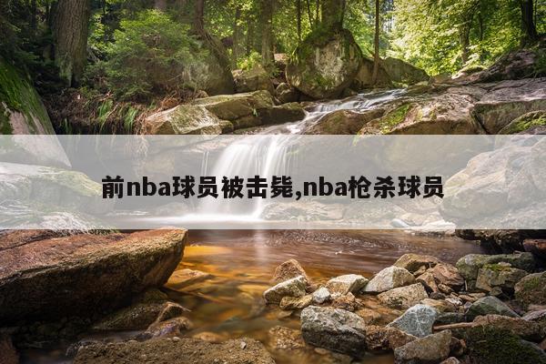 前nba球员被击毙,nba枪杀球员
