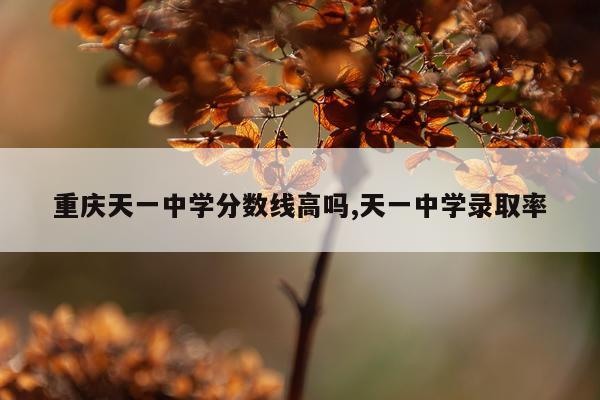 重庆天一中学分数线高吗,天一中学录取率