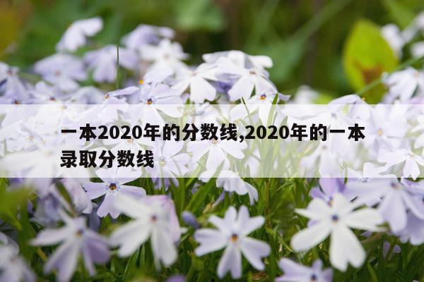 一本2020年的分数线,2020年的一本录取分数线
