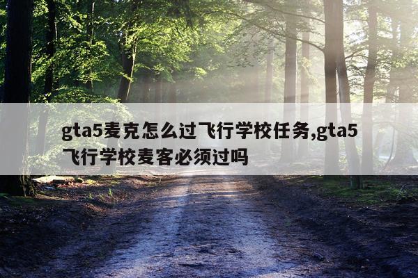 gta5麦克怎么过飞行学校任务,gta5飞行学校麦客必须过吗