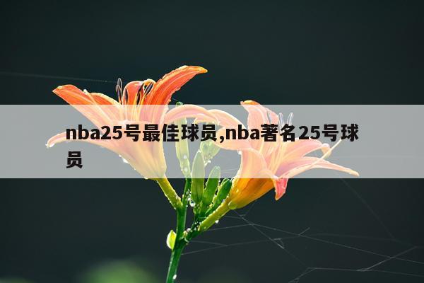 nba25号最佳球员,nba著名25号球员