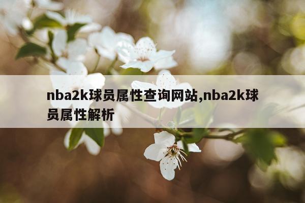 nba2k球员属性查询网站,nba2k球员属性解析