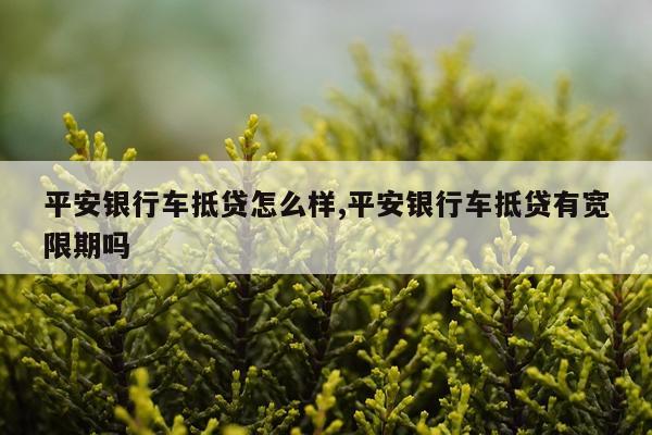 平安银行车抵贷怎么样,平安银行车抵贷有宽限期吗