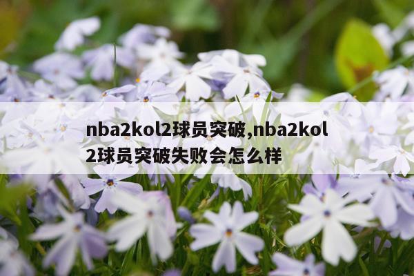 nba2kol2球员突破,nba2kol2球员突破失败会怎么样