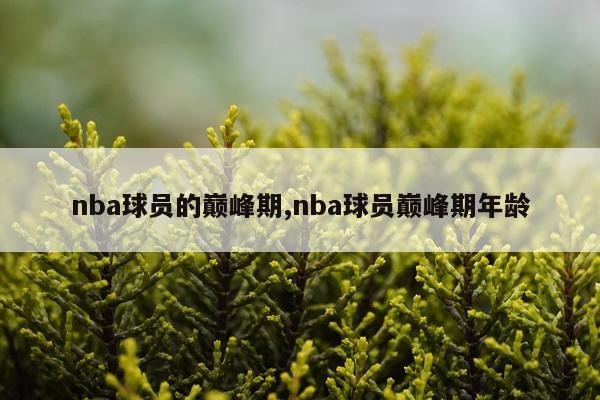 nba球员的巅峰期,nba球员巅峰期年龄