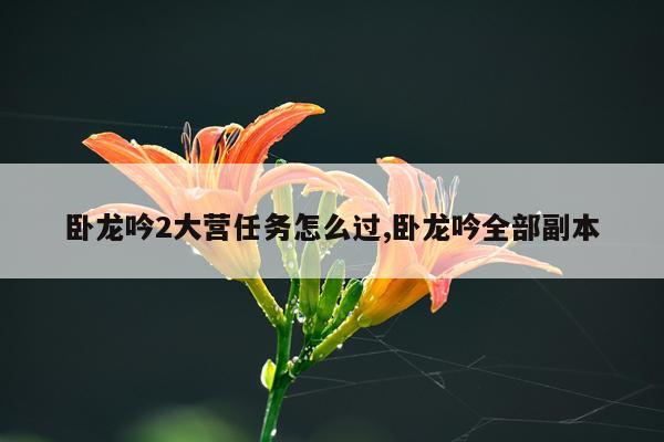 卧龙吟2大营任务怎么过,卧龙吟全部副本