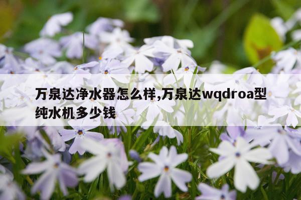 万泉达净水器怎么样,万泉达wqdroa型纯水机多少钱