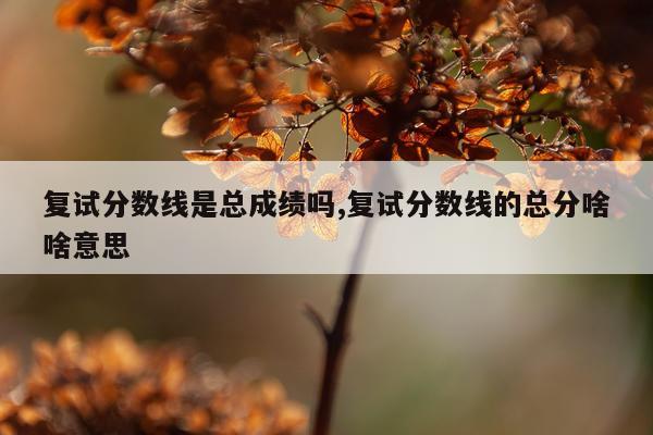 复试分数线是总成绩吗,复试分数线的总分啥啥意思