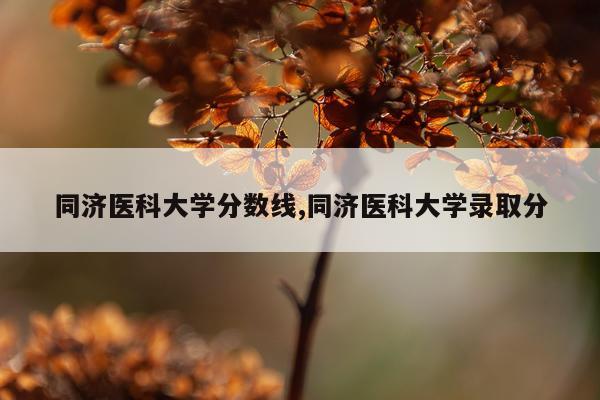 同济医科大学分数线,同济医科大学录取分