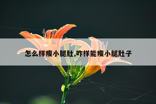 怎么样瘦小腿肚,咋样能瘦小腿肚子