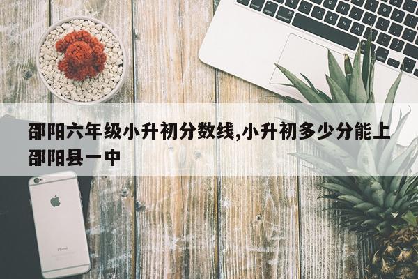 邵阳六年级小升初分数线,小升初多少分能上邵阳县一中
