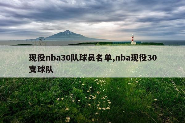 现役nba30队球员名单,nba现役30支球队