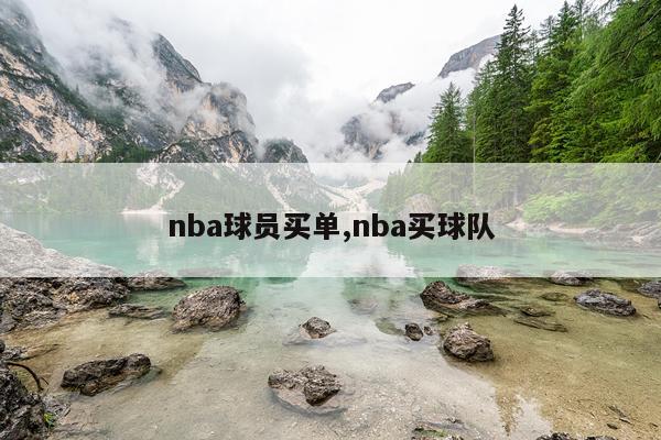 nba球员买单,nba买球队