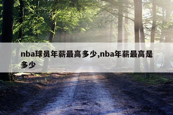 nba球员年薪最高多少,nba年薪最高是多少