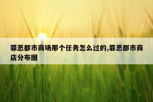 罪恶都市商场那个任务怎么过的,罪恶都市商店分布图