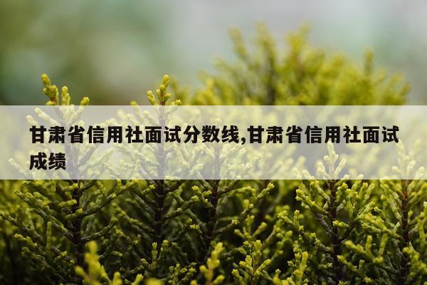 甘肃省信用社面试分数线,甘肃省信用社面试成绩