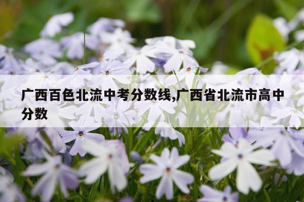 广西百色北流中考分数线,广西省北流市高中分数