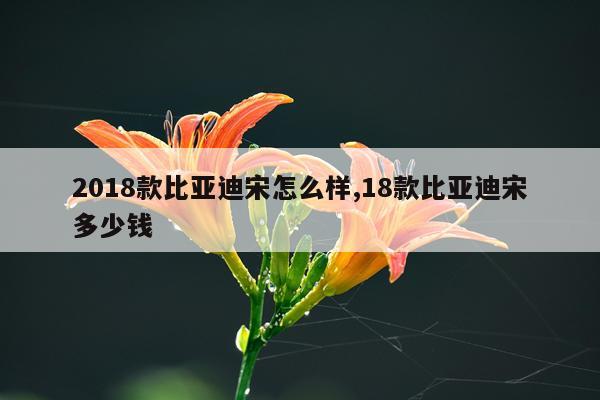 2018款比亚迪宋怎么样,18款比亚迪宋多少钱