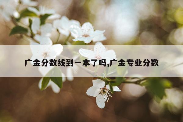 广金分数线到一本了吗,广金专业分数