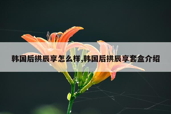 韩国后拱辰享怎么样,韩国后拱辰享套盒介绍