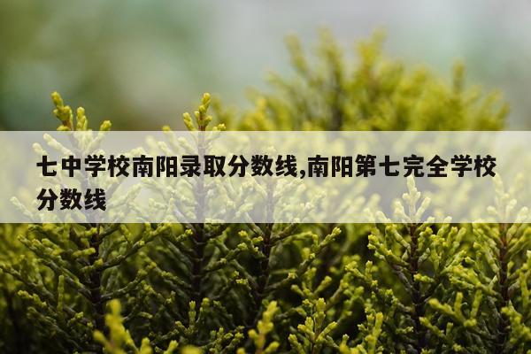 七中学校南阳录取分数线,南阳第七完全学校分数线