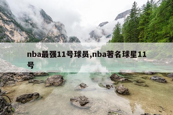 nba最强11号球员,nba著名球星11号