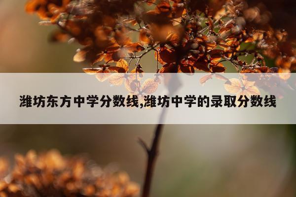 潍坊东方中学分数线,潍坊中学的录取分数线
