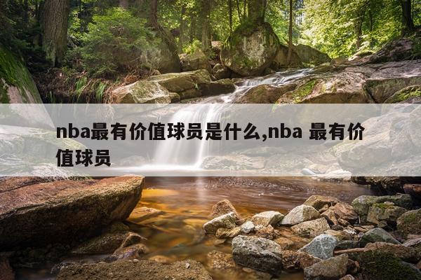 nba最有价值球员是什么,nba 最有价值球员