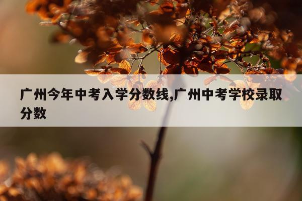 广州今年中考入学分数线,广州中考学校录取分数